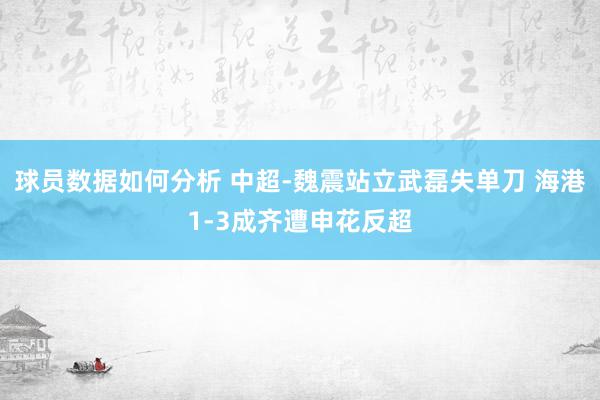 球员数据如何分析 中超-魏震站立武磊失单刀 海港1-3成齐遭申花反超