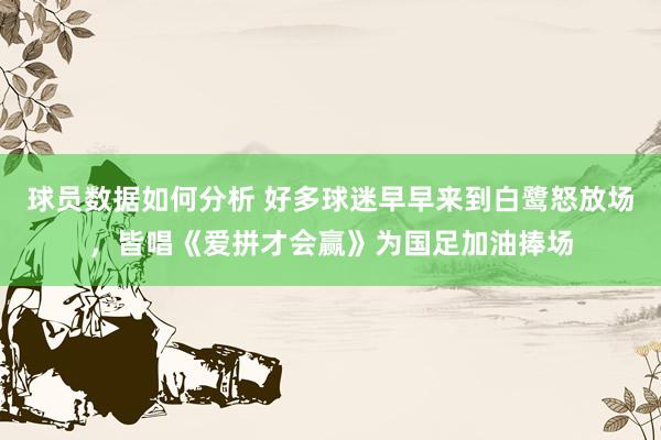 球员数据如何分析 好多球迷早早来到白鹭怒放场，皆唱《爱拼才会赢》为国足加油捧场