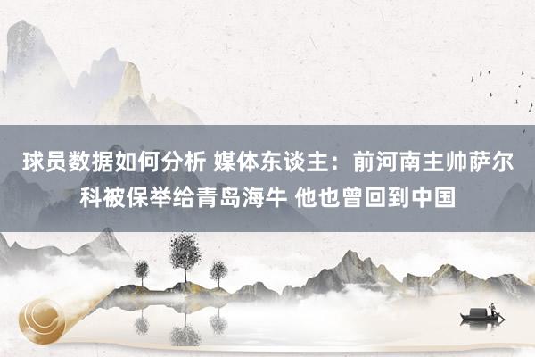 球员数据如何分析 媒体东谈主：前河南主帅萨尔科被保举给青岛海牛 他也曾回到中国