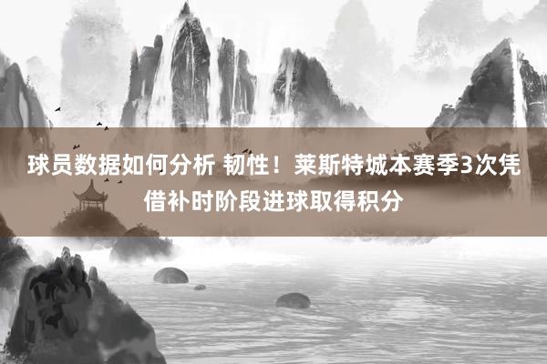 球员数据如何分析 韧性！莱斯特城本赛季3次凭借补时阶段进球取得积分