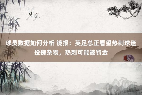 球员数据如何分析 镜报：英足总正看望热刺球迷投掷杂物，热刺可能被罚金