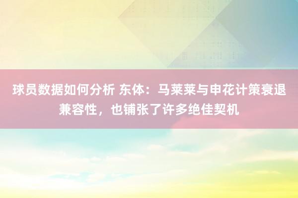 球员数据如何分析 东体：马莱莱与申花计策衰退兼容性，也铺张了许多绝佳契机