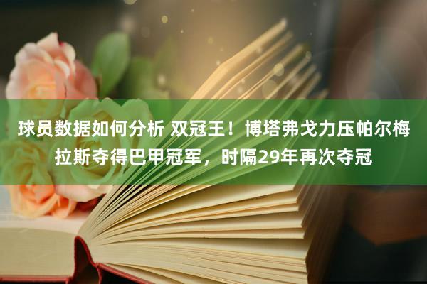 球员数据如何分析 双冠王！博塔弗戈力压帕尔梅拉斯夺得巴甲冠军，时隔29年再次夺冠