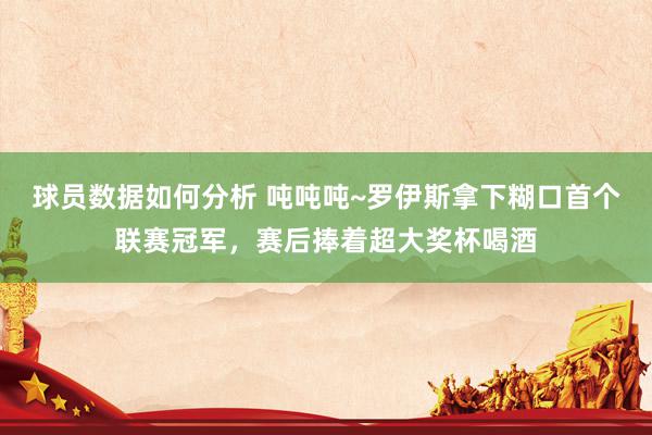 球员数据如何分析 吨吨吨~罗伊斯拿下糊口首个联赛冠军，赛后捧着超大奖杯喝酒