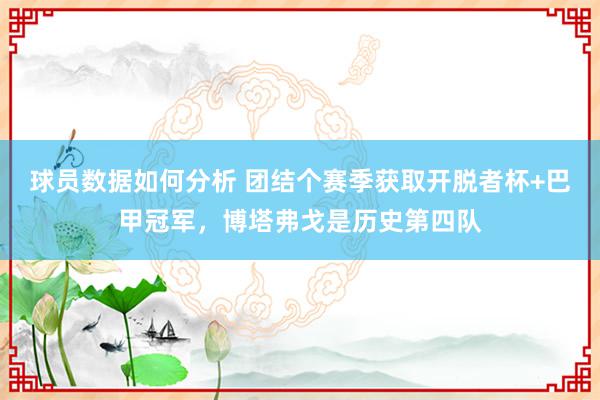 球员数据如何分析 团结个赛季获取开脱者杯+巴甲冠军，博塔弗戈是历史第四队