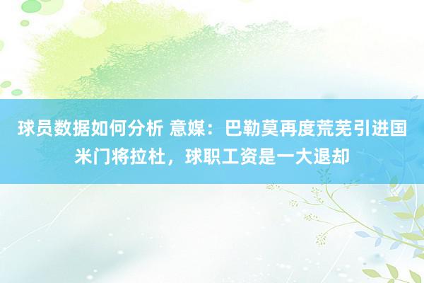 球员数据如何分析 意媒：巴勒莫再度荒芜引进国米门将拉杜，球职工资是一大退却