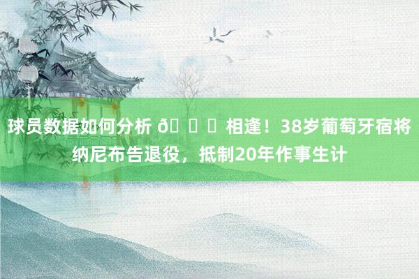 球员数据如何分析 👋相逢！38岁葡萄牙宿将纳尼布告退役，抵制20年作事生计