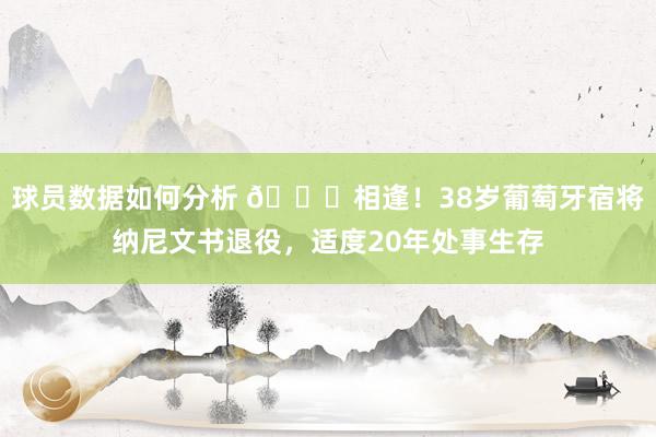 球员数据如何分析 👋相逢！38岁葡萄牙宿将纳尼文书退役，适度20年处事生存