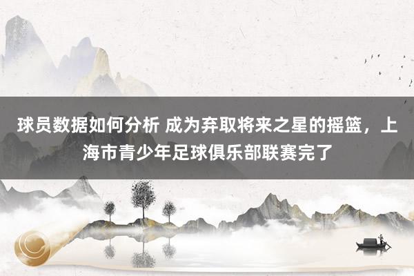 球员数据如何分析 成为弃取将来之星的摇篮，上海市青少年足球俱乐部联赛完了