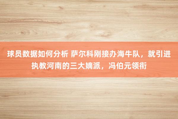 球员数据如何分析 萨尔科刚接办海牛队，就引进执教河南的三大嫡派，冯伯元领衔