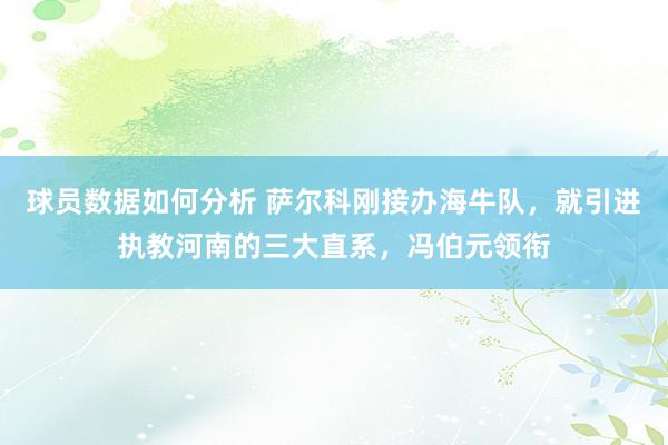 球员数据如何分析 萨尔科刚接办海牛队，就引进执教河南的三大直系，冯伯元领衔