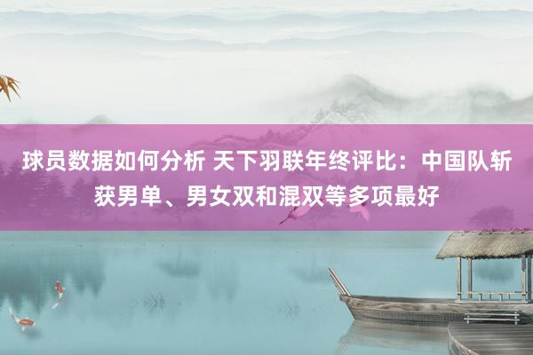 球员数据如何分析 天下羽联年终评比：中国队斩获男单、男女双和混双等多项最好