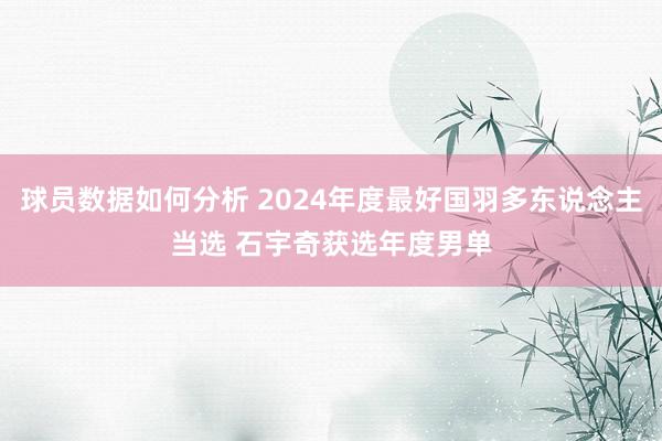 球员数据如何分析 2024年度最好国羽多东说念主当选 石宇奇获选年度男单